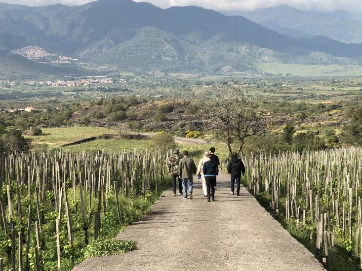 Il Maestro della Fotografia Vittorio Storaro tra le vigne di Cusumano in Sicilia