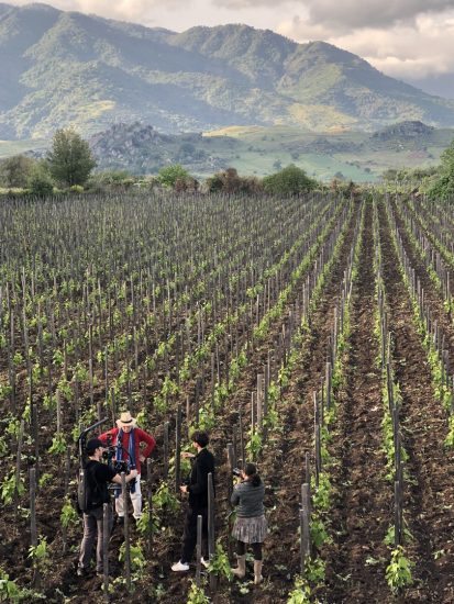 Il Maestro della Fotografia Vittorio Storaro tra le vigne di Cusumano in Sicilia