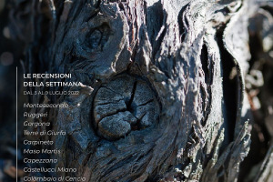 I Vini di WineNews - N. 213