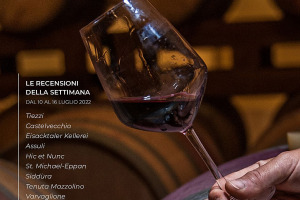 I Vini di WineNews - N. 214