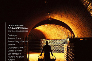 I Vini di WineNews - N. 215