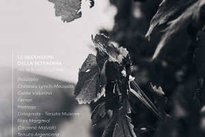 I Vini di WineNews - N. 216