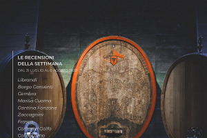 I Vini di WineNews - N. 217