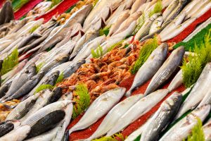 L’estate nera della piscicoltura tra assenza di pioggia e aumento dei costi L’estate nera della piscicoltura tra assenza di pioggia e aumento dei costi