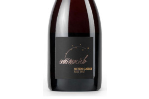 Cantina Settecani, Dop Lambrusco Grasparossa di Castelvetro Brut Rosé Settimocielo 2019