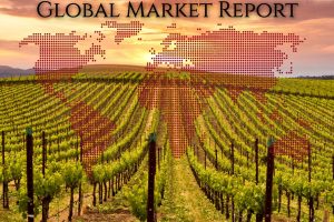 Tra logistica e inflazione frena il mercato degli sfusi, ma i prezzi degli italiani restano stabili