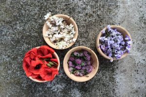 Sandra Ianni: “la ricerca di erbe spontanee va di moda, ma non ci si può improvvisare botanici”