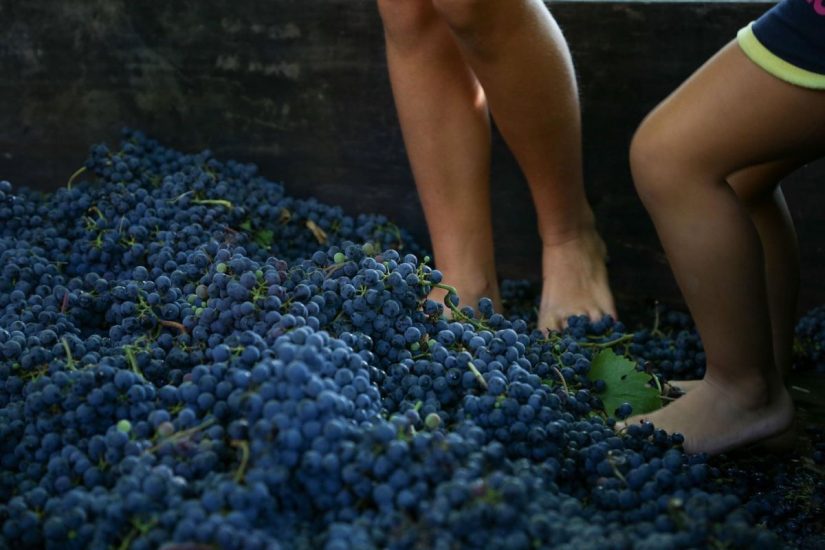 “Festa della Vendemmia #Renaissance” a Fontanafredda nelle Langhe