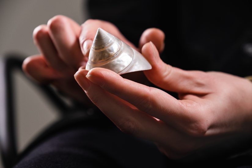 I laboratori del progetto Mind’s Eye