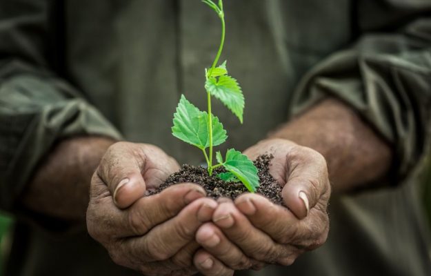 BIODIVERSITÀ, BOSTON CONSULTING GROUP, CAMBIAMENTO CLIMATICO, COOPERAZIONE, CRISI ALIMENTARE, GEOPOLITICA, GUERRA COMMERCIALE, INNOVAZIONE, INVESTIMENTI, MALATTIE, POLITICA, PRODUZIONE AGRICOLA, QUANTIS, Non Solo Vino