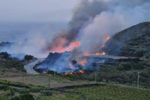 Gli incendi non risparmiano neanche Pantelleria: salvi gli alberelli di Zibibbo Patrimonio Unesco