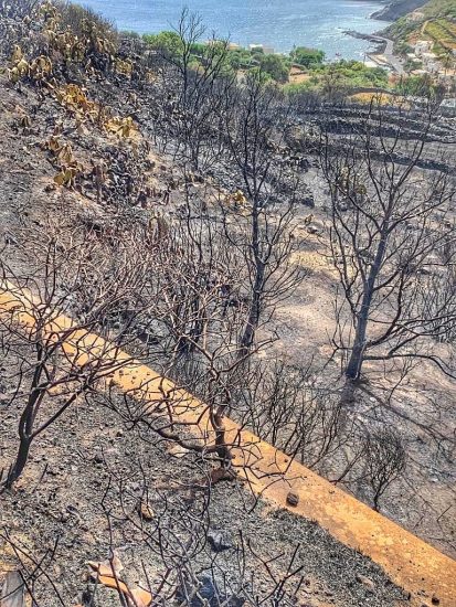 L’incendio che ha colpito Pantelleria