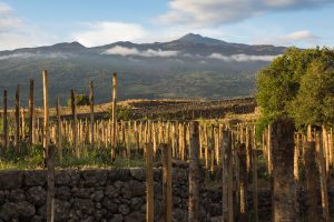 Reportage WineNews: l’Etna e i vini della “bio-diversità”, tra storia, natura e numeri in crescita