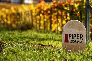 Cantine B-Corp, le prime di Champagne sono Piper-Heidsieck, Charles Heidsieck e Rare Champagne