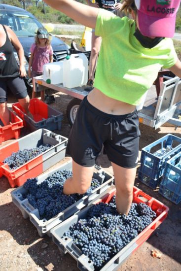 La protesta dei contadini provenzali contro LVMH