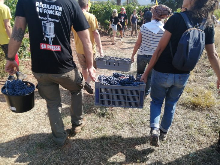 La protesta dei contadini provenzali contro LVMH