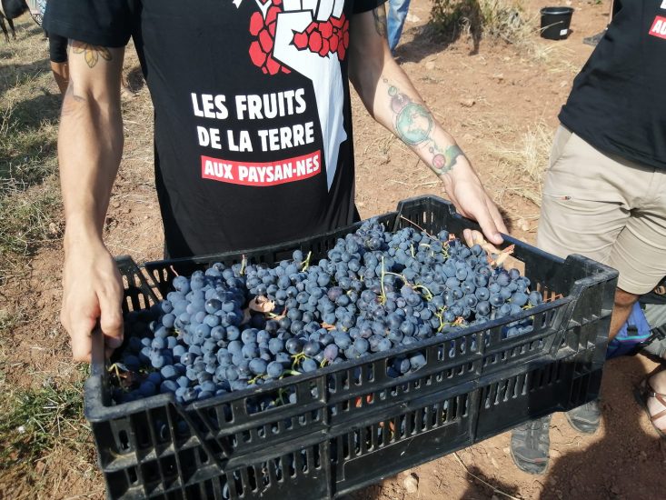 La protesta dei contadini provenzali contro LVMH
