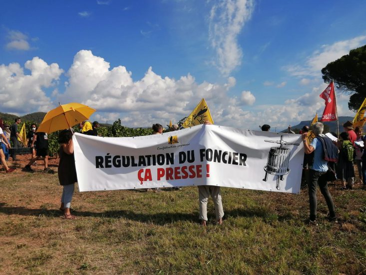 La protesta dei contadini provenzali contro LVMH