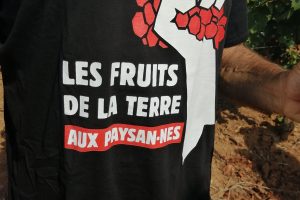 I contadini della Provenza contro la speculazione sui vigneti dei grandi gruppi finanziari