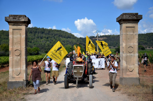 La protesta dei contadini provenzali contro LVMH