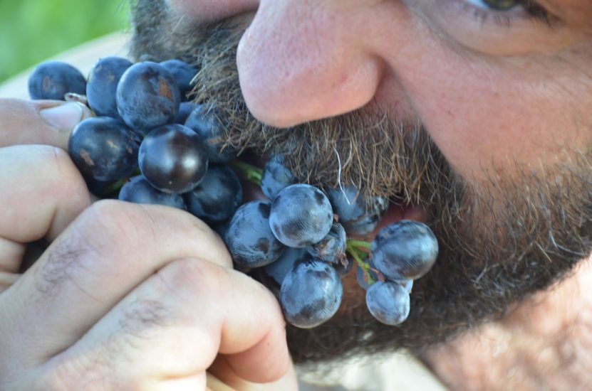 La protesta dei contadini provenzali contro LVMH