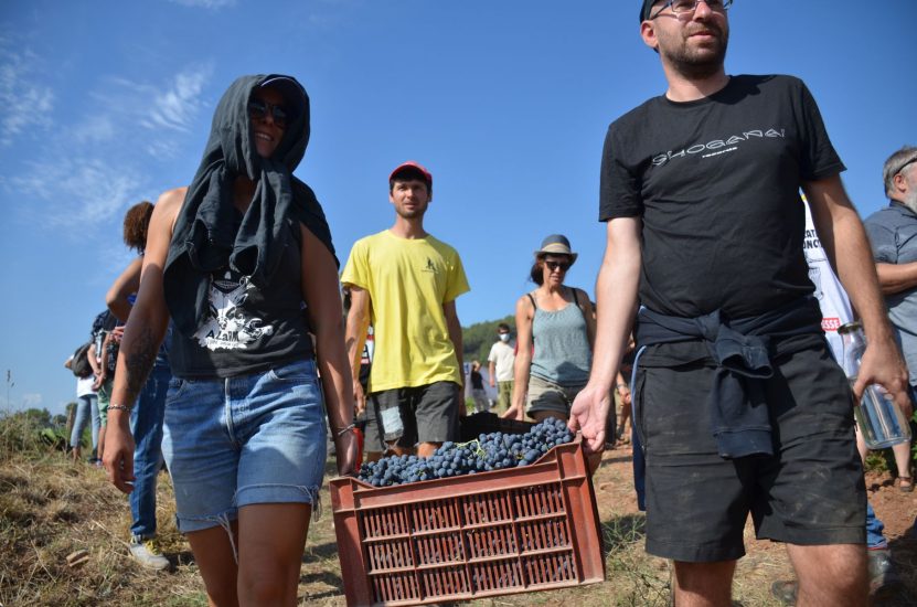 La protesta dei contadini provenzali contro LVMH