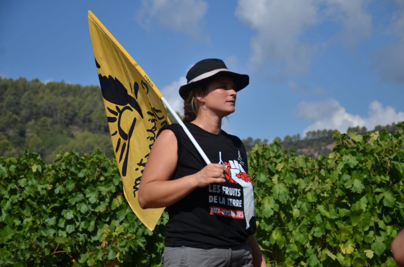 La protesta dei contadini provenzali contro LVMH