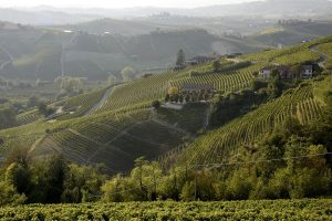 Per l’Asti Spumante e il Moscato d’Asti Docg “Oggi è Festa”: sono “Novant’anni di Bollicine”