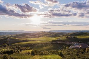 CDP and UNICREDIT finance Barone Ricasoli, Piccini, Ermes, Paololeo and Mastropasqua CDP and UNICREDIT finance Barone Ricasoli, Piccini, Ermes, Paololeo and Mastropasqua