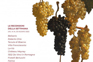 I Vini di WineNews - N. 2019