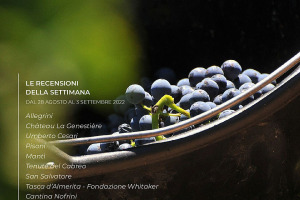 I Vini di WineNews - N. 221