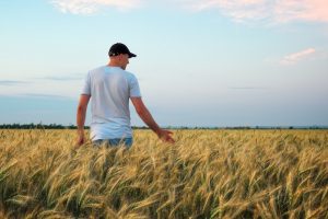 Il cibo non deve essere usato come arma geopolitica, è un diritto inalienabile