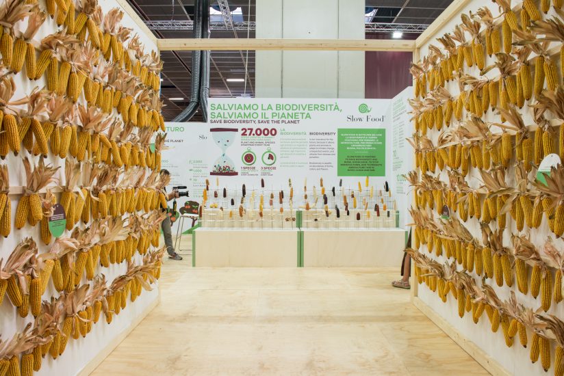Le passate edizioni di terra Madre Salone del Gusto (ph: Francesca Cirilli)