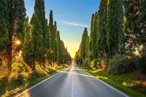 Bolgheri, territorio simbolo dell'enologia mondiale dai “padri fondatori” ai fasti contemporanei