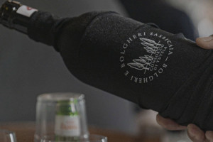 Bolgheri 2020 in the name of “freshness and finesse” for Bolgheri Superiore wines