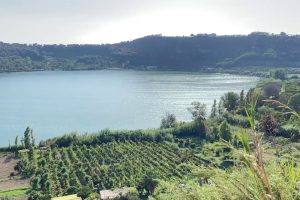 La Campania del vino: uno scrigno di varietà e bellezza ancora tutto da raccontare La Campania del vino: uno scrigno di varietà e bellezza ancora tutto da raccontare