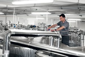 Il vino di fronte alla crisi energetica, tra risposte immediate e progetti di lungo respiro