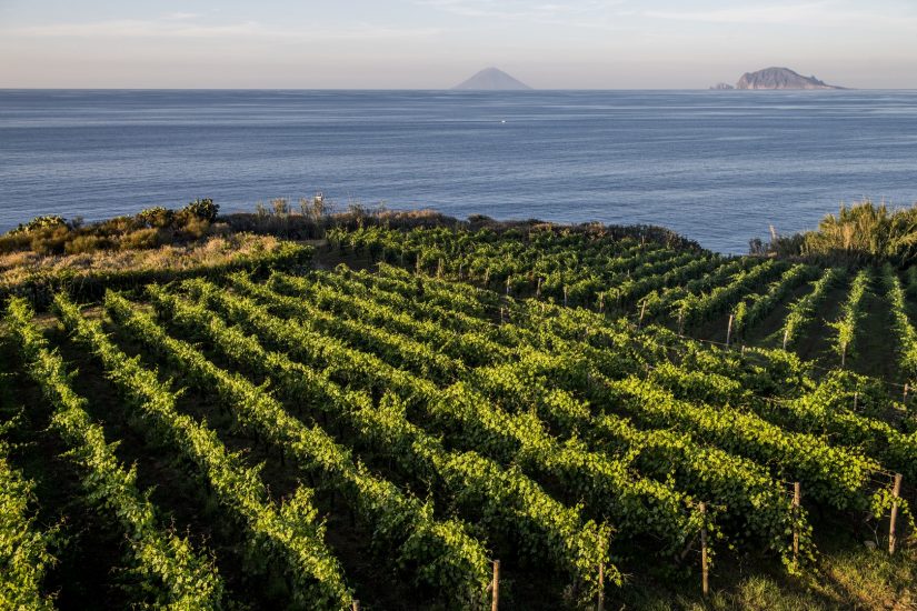 Tenuta Capofaro, una delle cinque Tenute della famiglia Tasca d’Almerita