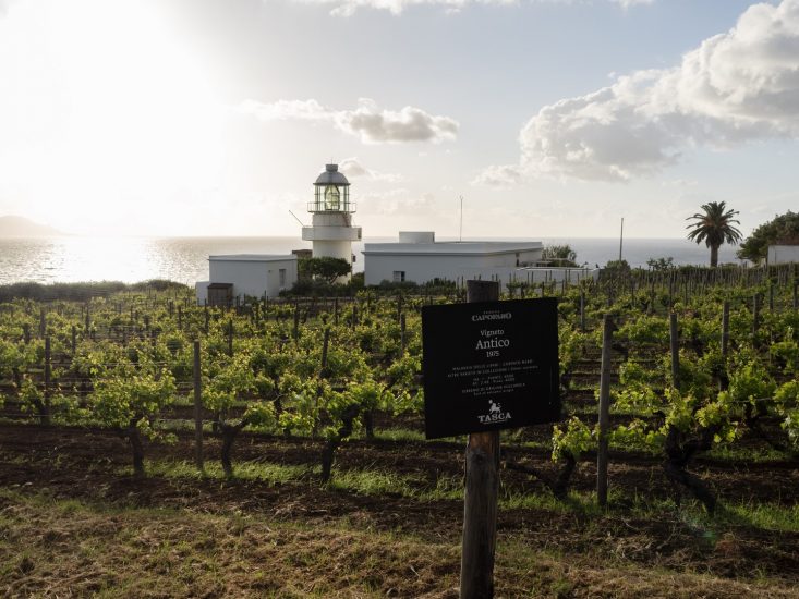 Tenuta Capofaro, una delle cinque Tenute della famiglia Tasca d’Almerita