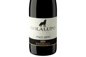 Endrizzi, Doc Trentino Pinot Nero Golalupo Riserva 2017