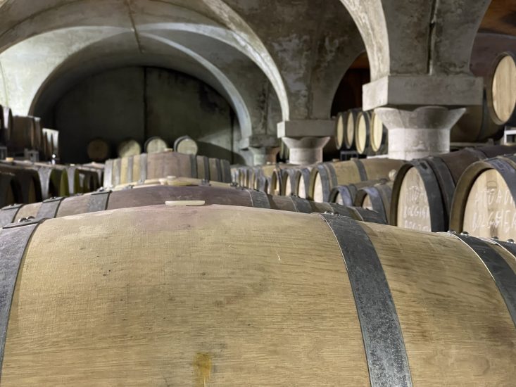 La bottaia di Guado al Melo