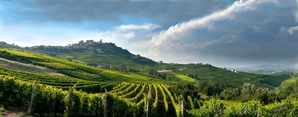 Alba ospita il “Forum Mondiale dell’Enoturismo” dell’Unwto