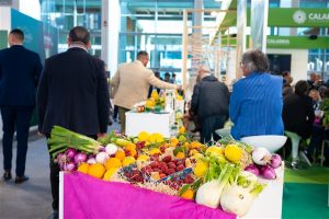 Macfrut 2023: investimenti per 1,5 milioni di euro per conquistare i buyer internazionali