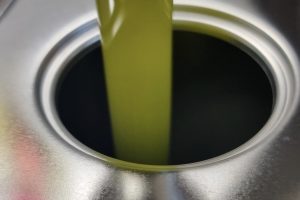 Olio Made in Italy, la raccolta parte in salita: il calo stimato della produzione è del 30%
