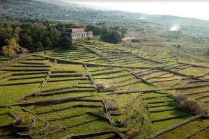 Lo storico Castello Solicchiata nel mondo con Planeta, protagonista del rinascimento siciliano