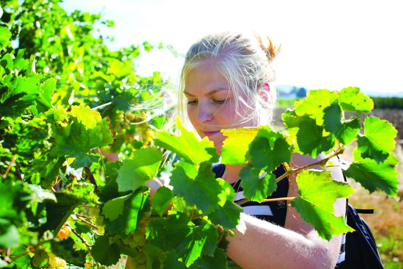 Formazione in vigna con Università di Pollenzo