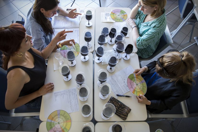 Università di Pollenzo, hub per l’alta formazione sul vino