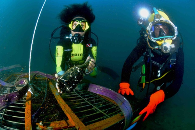 “Audace”, il Prosecco Doc Trieste affinato nel Golfo