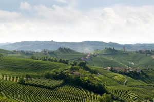 Valori fondiari, i vigneti di Barolo sono i terreni più preziosi d’Italia, secondo il Crea Valori fondiari, i vigneti di Barolo sono i terreni più preziosi d’Italia, secondo il Crea