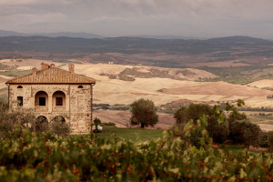 Per la prima volta dall’Ottocento a oggi, la vendemmia del Brunello a Montalcino è iniziata d’agosto